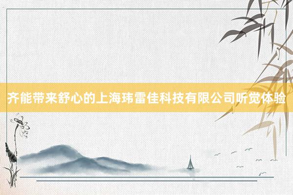齐能带来舒心的上海玮雷佳科技有限公司听觉体验